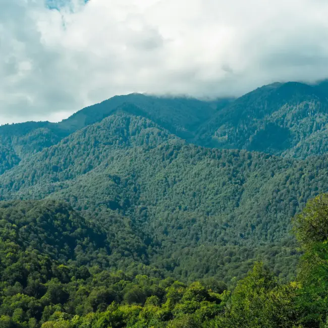 Naturaleza